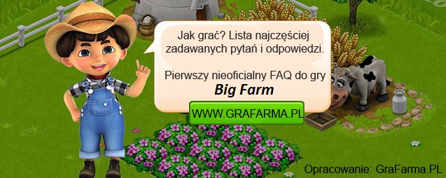 Poradnik i FaQ do Big Farm